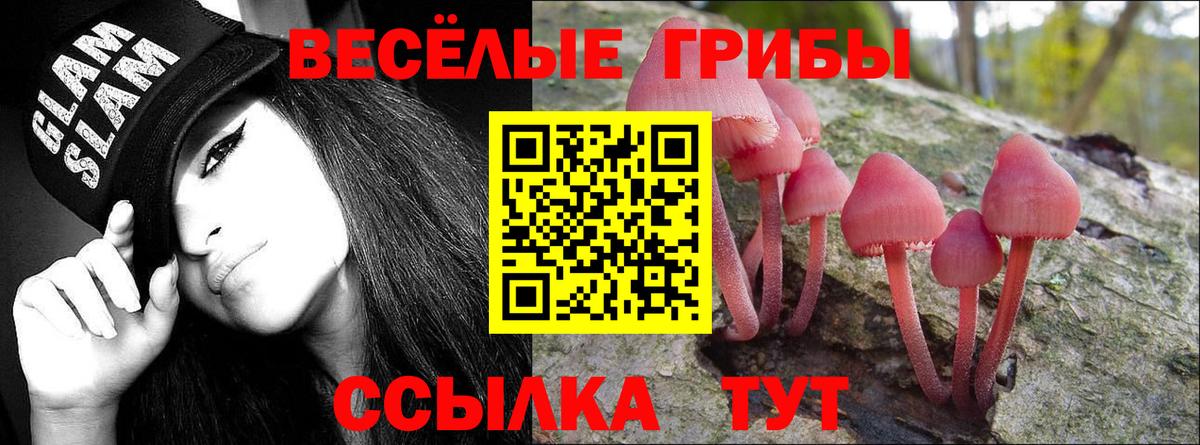 Псилоцибиновые грибы мицелий  Вход с VPN  Псилоцибиновые грибы GOLDEN TEACHER  Кировск 